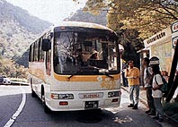 �p�[�N�����C�h���؃e�X�g�̗l�q